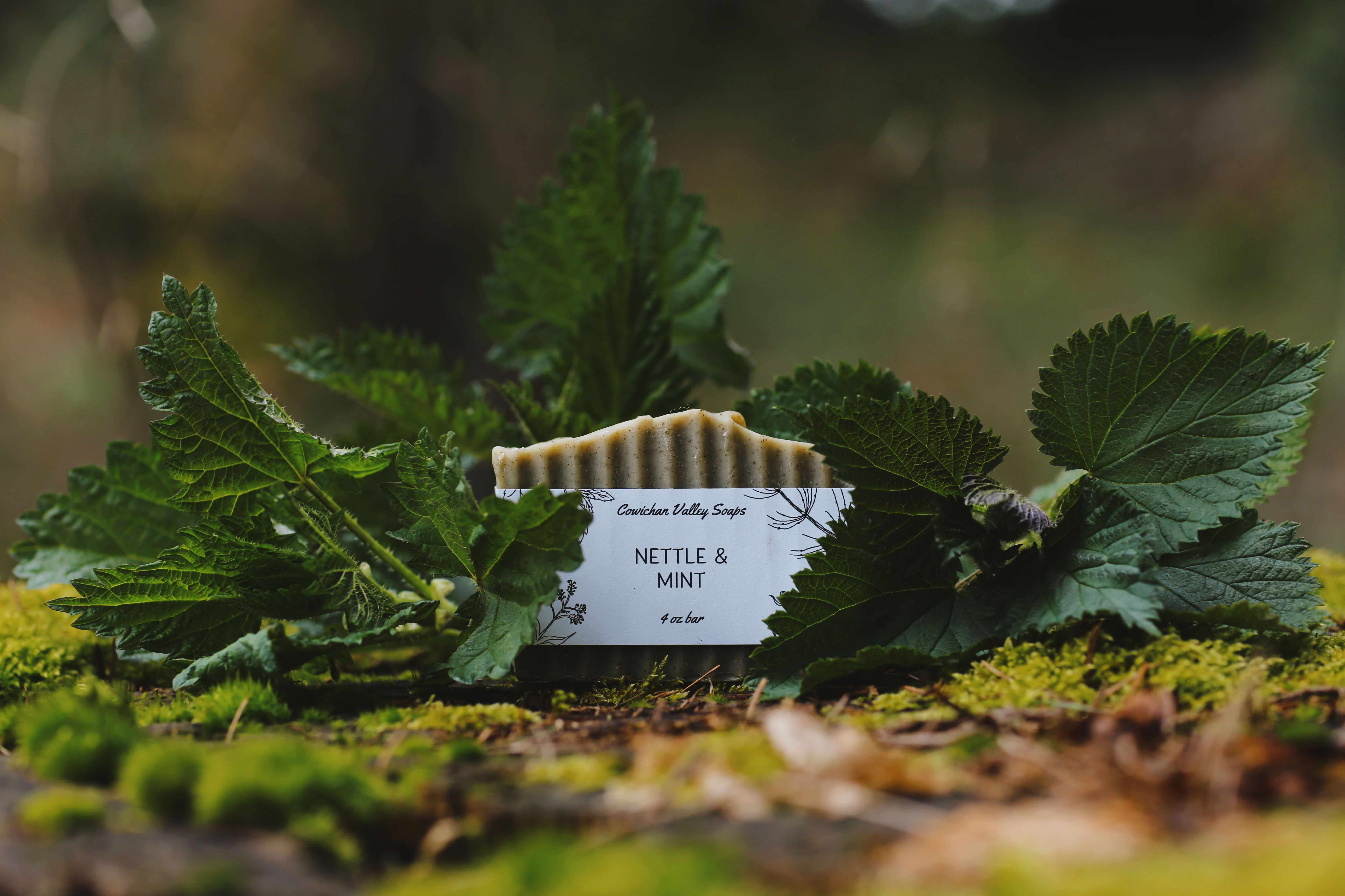 Nettle & Mint