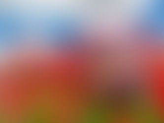 американские горки