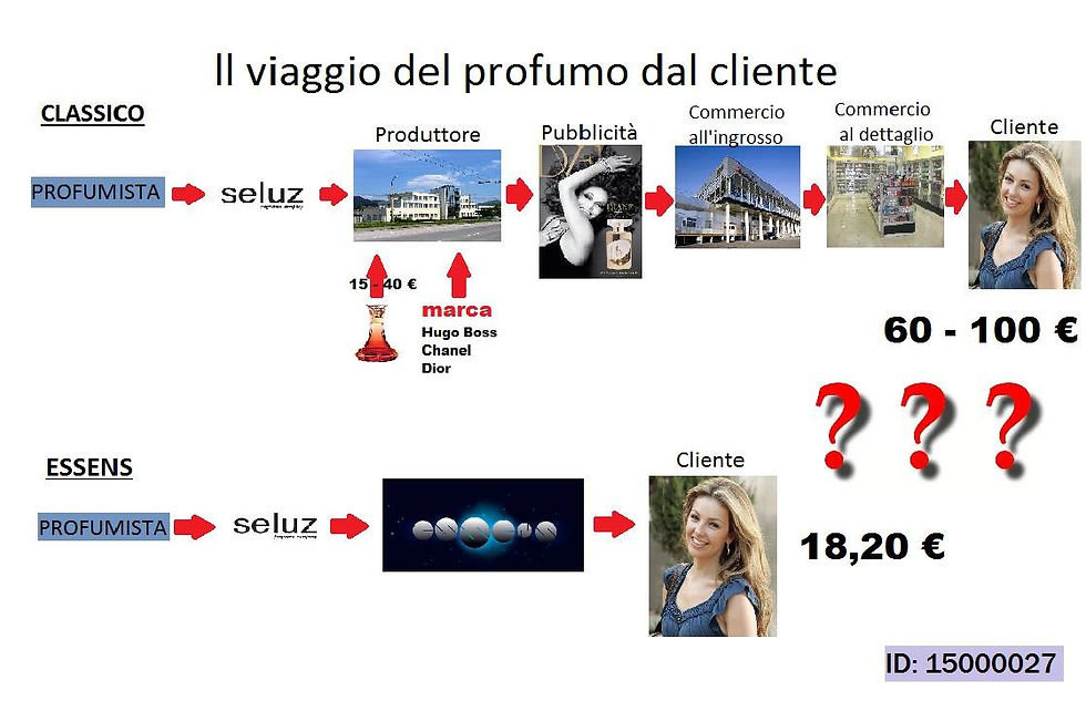 11028261_10202489426397062_366689826_o3_edited
