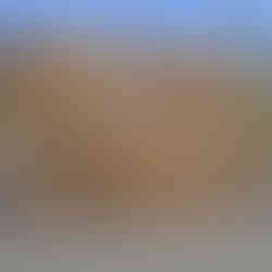 Die Installation des ghanaischen Künstlers trägt den Titel Transfer(s)