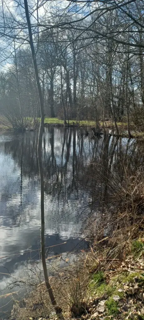 Ufer an einem See
