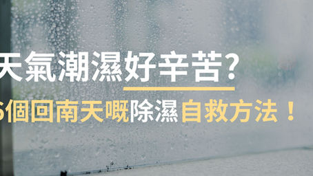天氣潮濕好辛苦? 6個回南天嘅除濕自救方法! | 家居生活小貼士