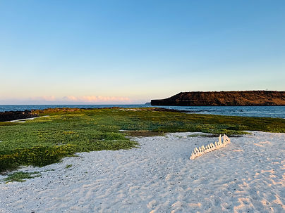 Mosquera landscape.jpg