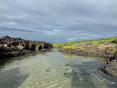 IMG_9107.JPG