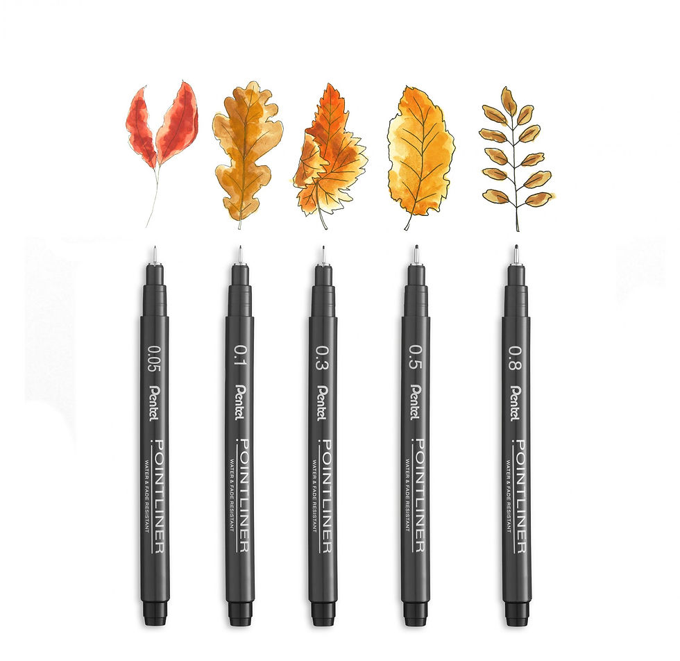 Miniaturbild: Fineliner Pointliner Set mit 5 Strichstärken