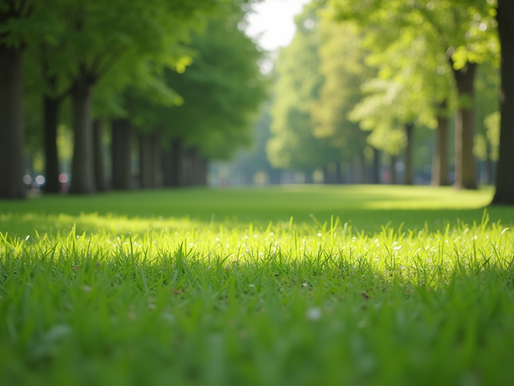 The Impact of Cleanliness on Public Health