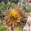 Thumbnail: AC Ben