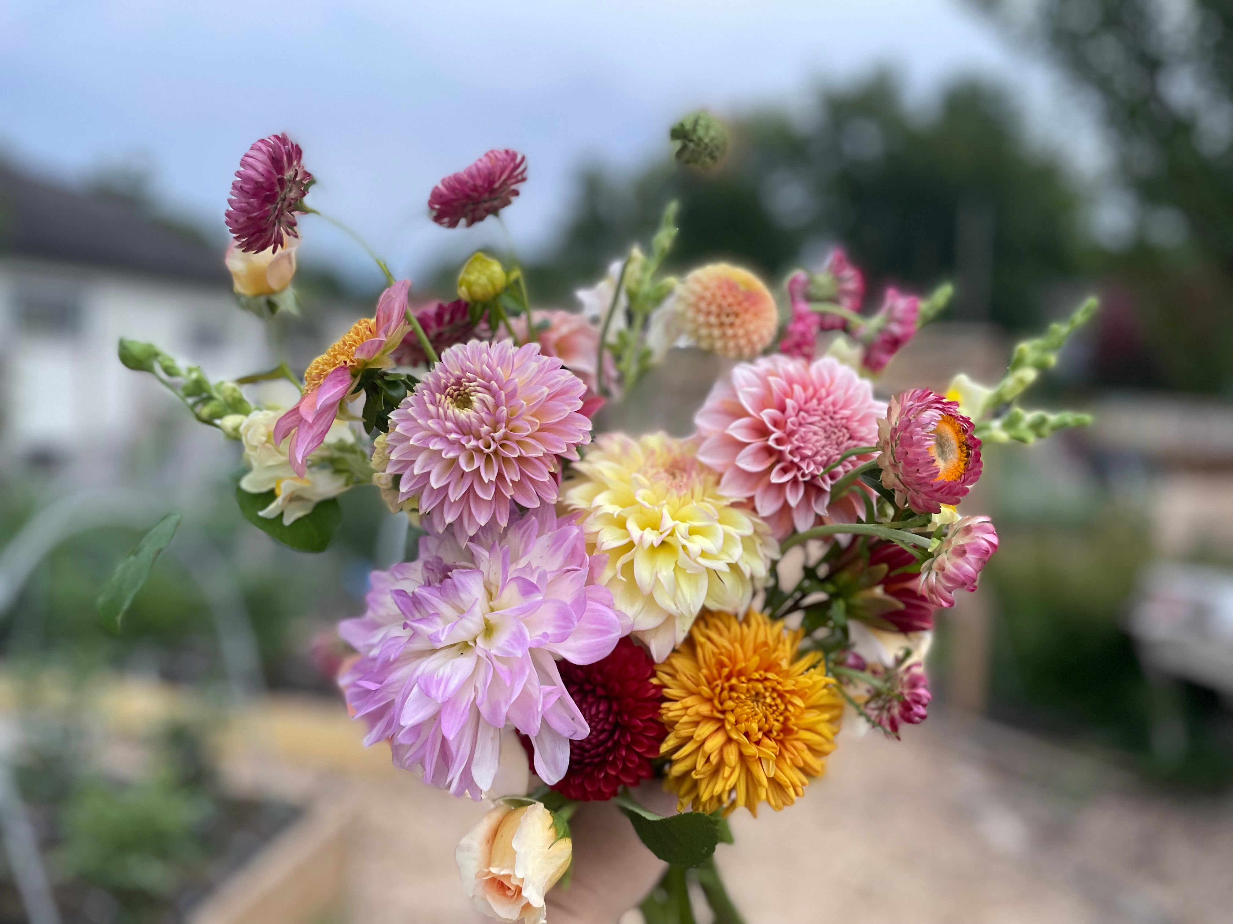 SUMMER FLOWER SUBSCRIPTION