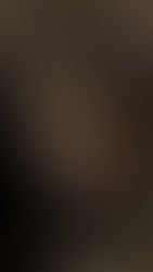 'Fever Dreams' by Ines Bahr