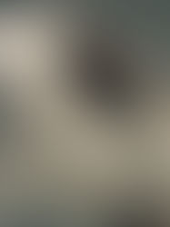 'What does my view say' by Lyre Mayakovsky