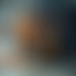 Extending Your Reach: Forklift Reach Extensions