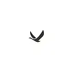 libertas.webp