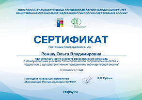 Макет сертификата 30 января 2021.jpg