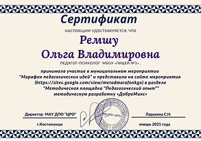 Ремшу О.В..jpg