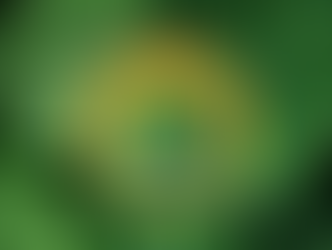 Arizona Leafy Greens Marketing Agreement Approved New Water and Field Metrics Enhanced Guidelines Ad