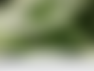 Local NPR affiliate interviews grower John Boelts about food safety updates