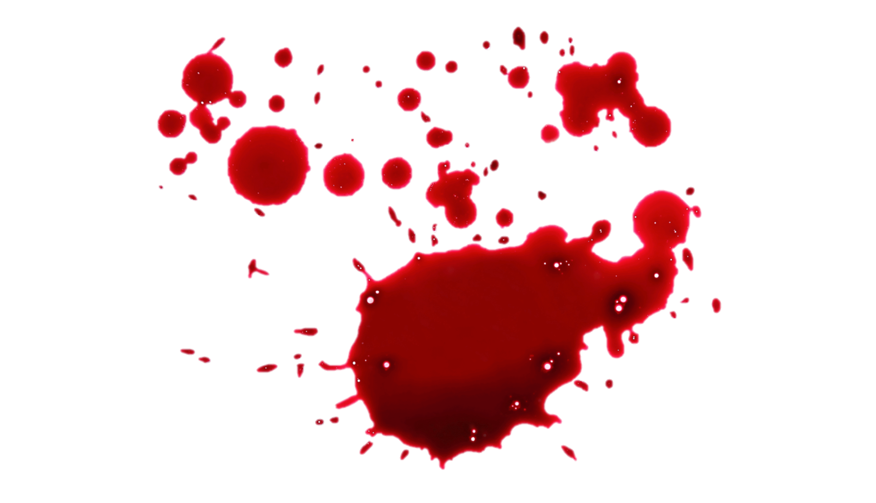 bloodstain1-ID-d96016c3-aa78-4cfb-e408-0