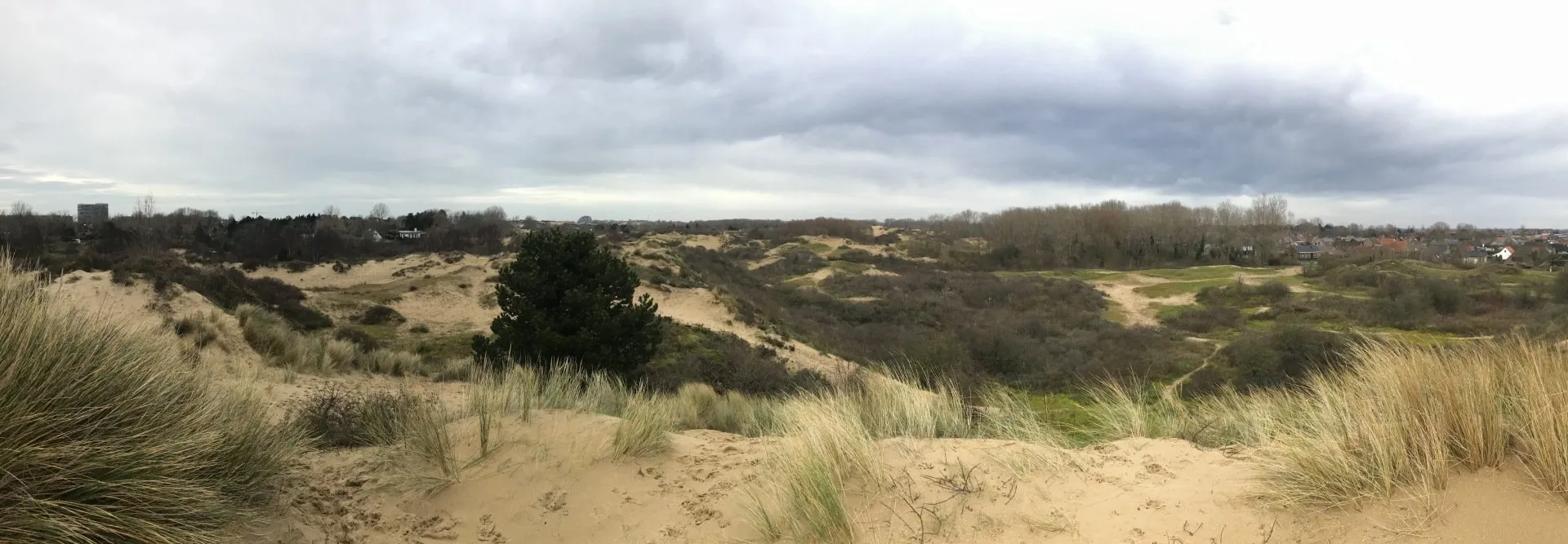 panorama-1920w.webp
