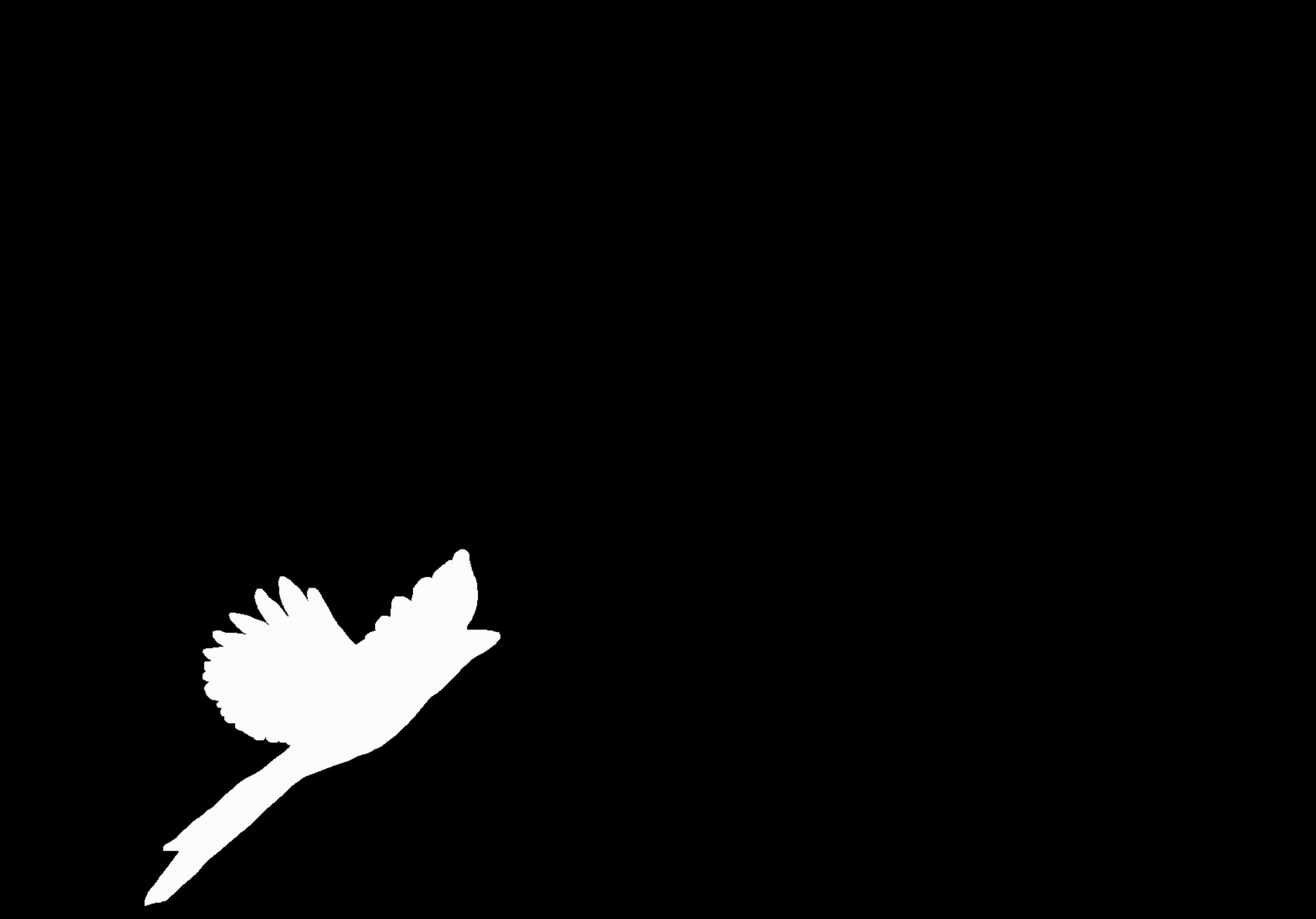magpieanimation_sihlouette.gif