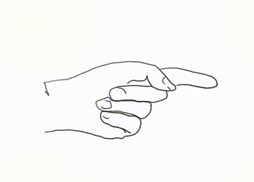 animation5.gif