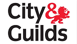 Qualified electrician
