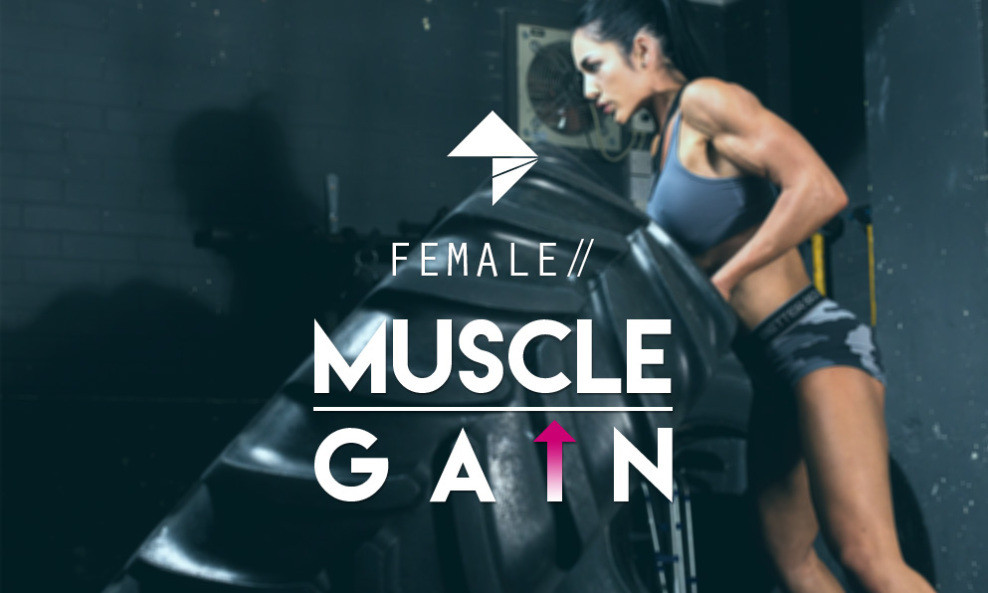 muscle growth program