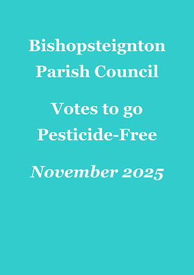 BPC Vote Publicity(1).jpeg