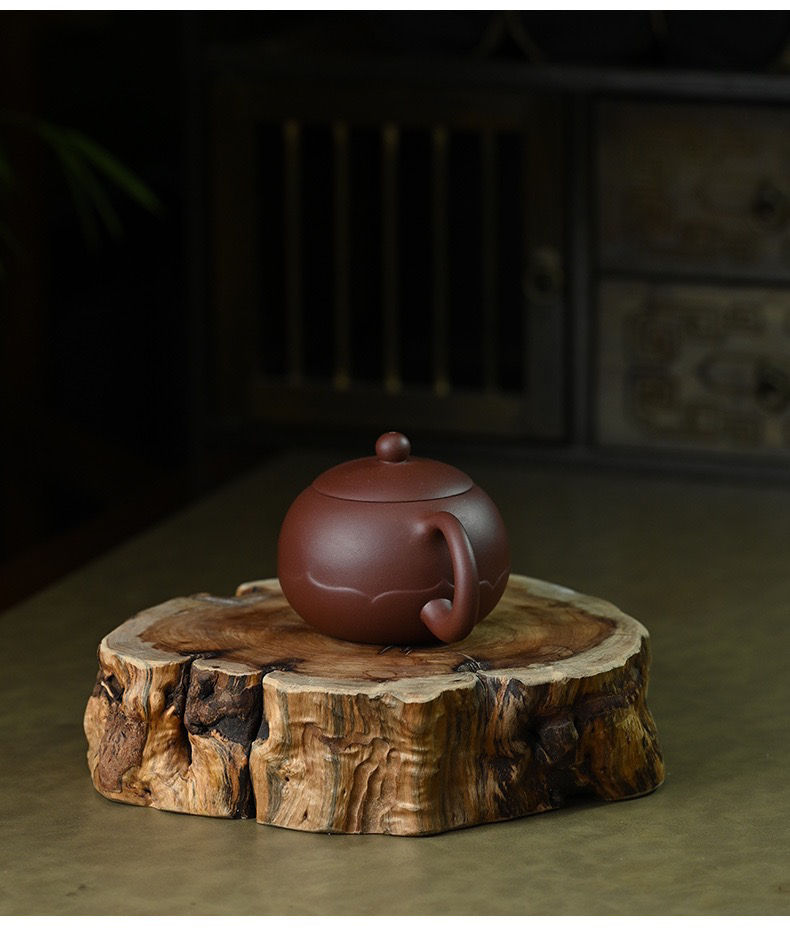 縮圖：Chanyi Xishi Teapot