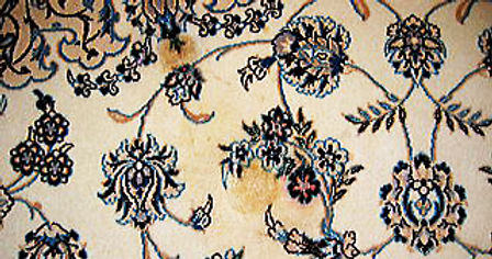 détachage_et_nettoyage_de_tapis_nain