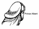 Prince Albert piercing diagram.