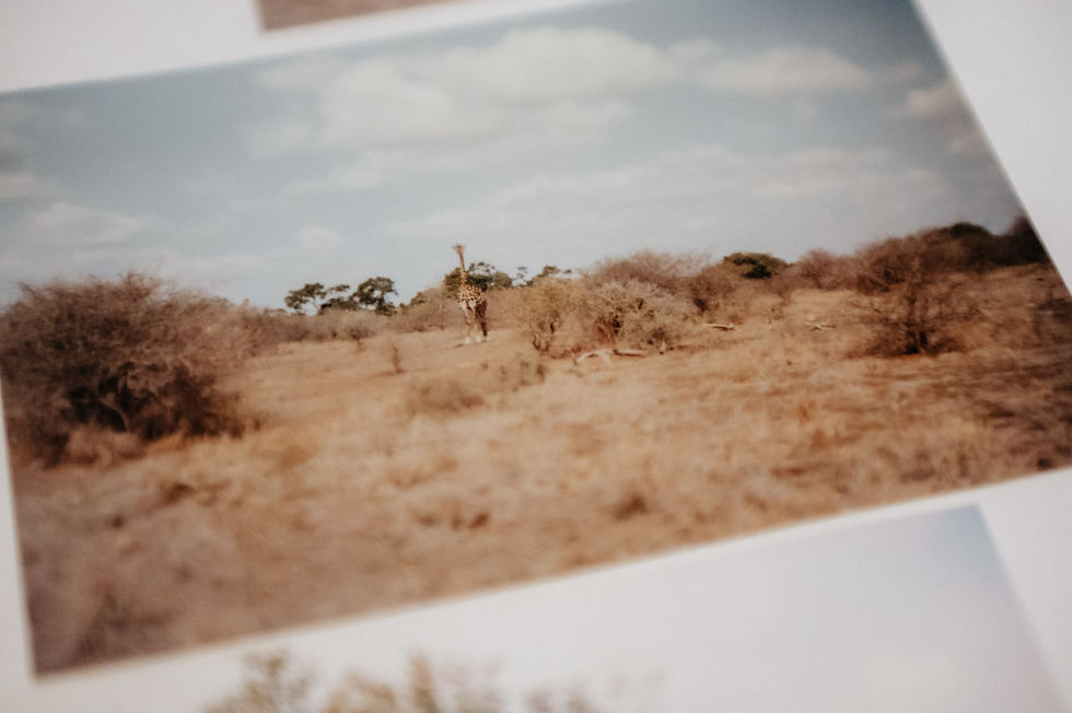 Mijn eerste foto's uit Zuid-Afrika: van meisje met camera naar professioneel bruidsfotograaf