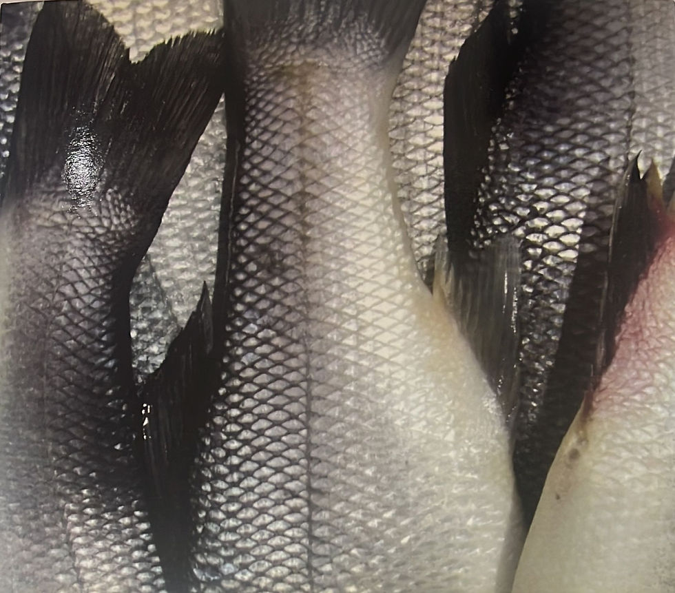 縮圖：曹格 - 超級4th場 SUPERMARKET