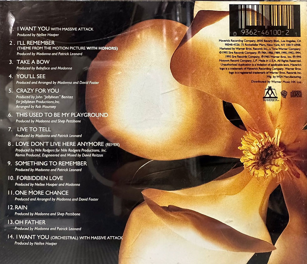 縮圖：Madonna – Something To Remember