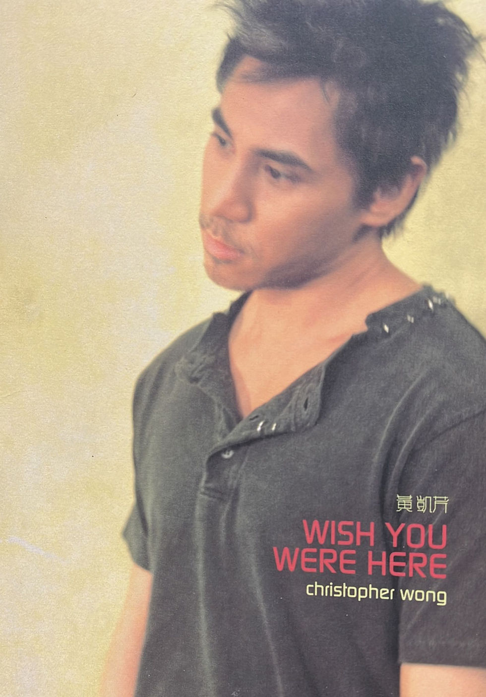 縮圖：黃凱芹 - Wish You Were Here (AVCD)