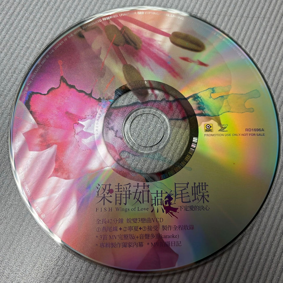Thumbnail: 梁靜茹 - 燕尾蝶 下定愛的決心 (CD + VCD)