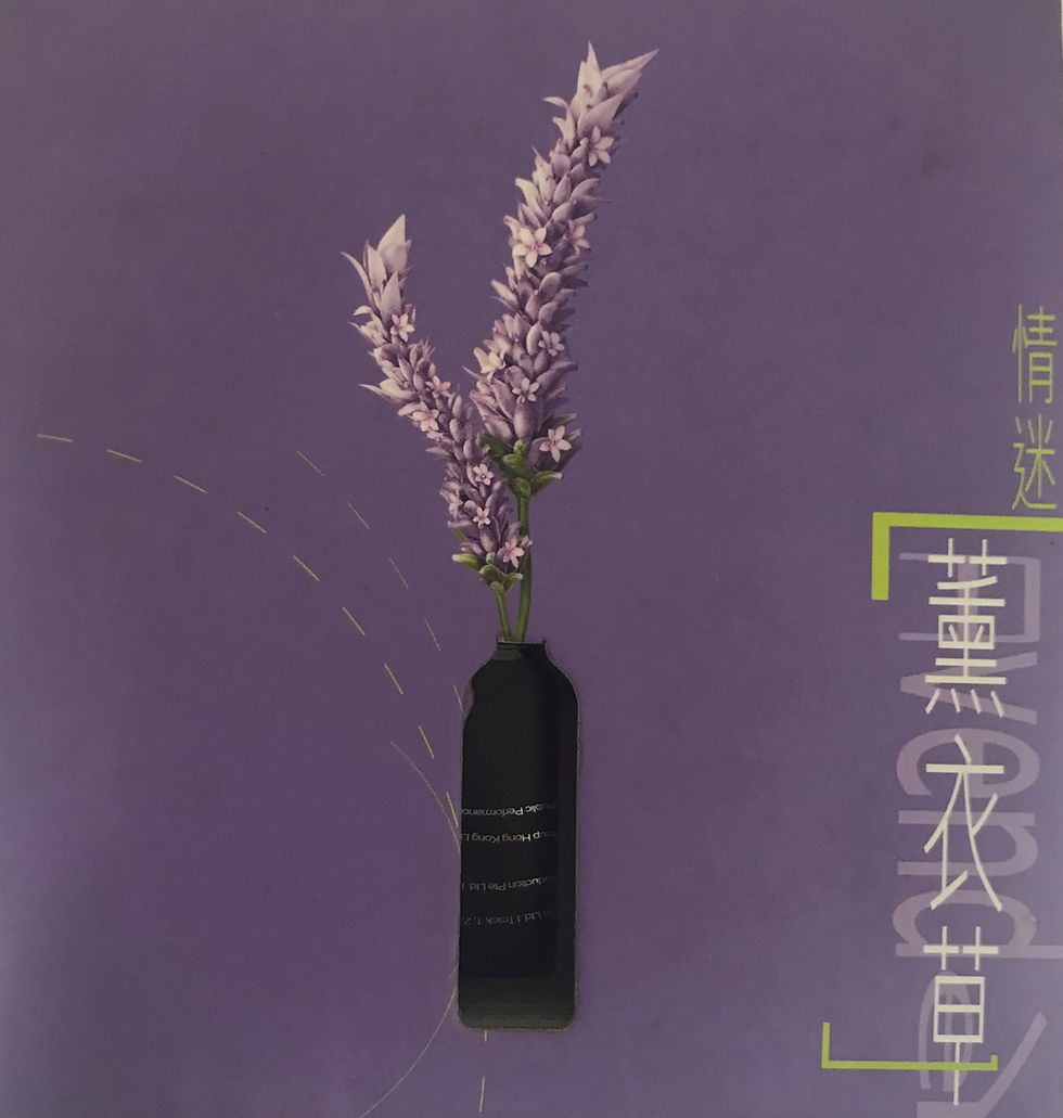 情迷薰衣草(2CD)