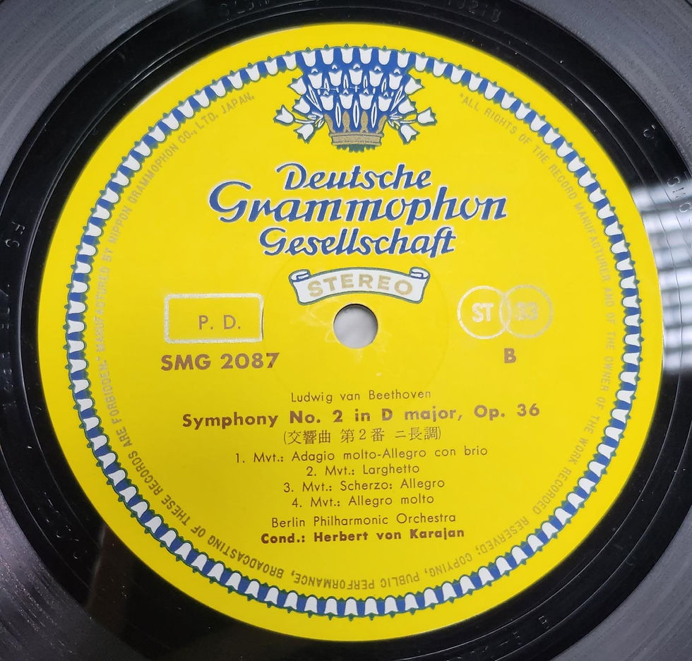 縮圖：Ludwig van Beethoven – Symphony No.1 In C Major Symphony No.2 In D Major