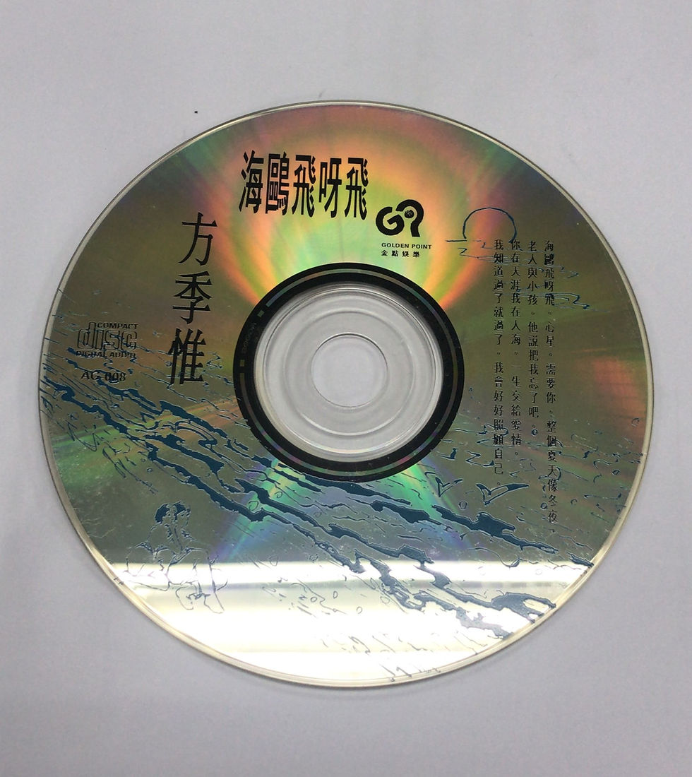縮圖：方季惟 – 海鷗飛呀飛