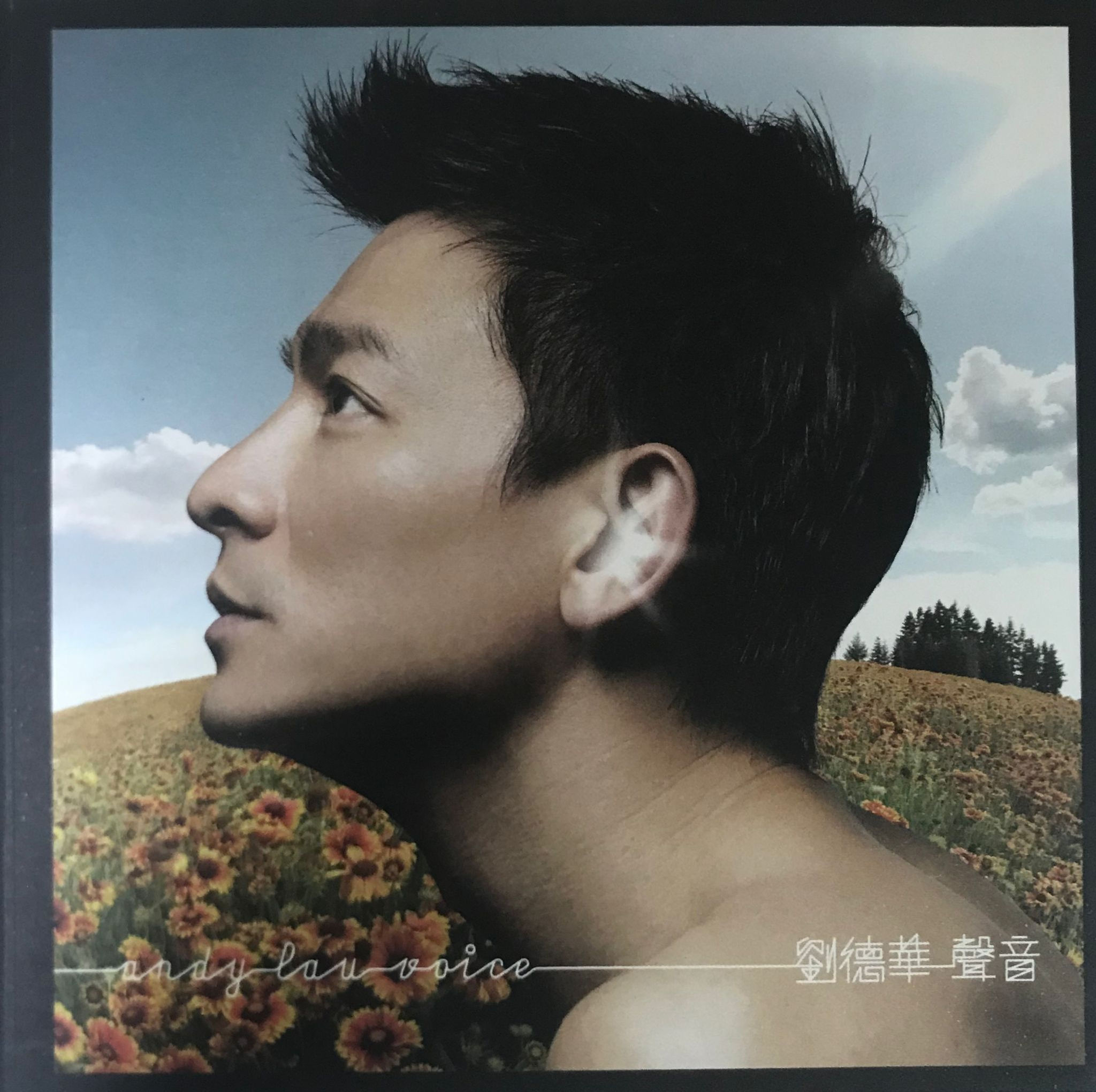 劉德華 - 聲音（CD+DVD）