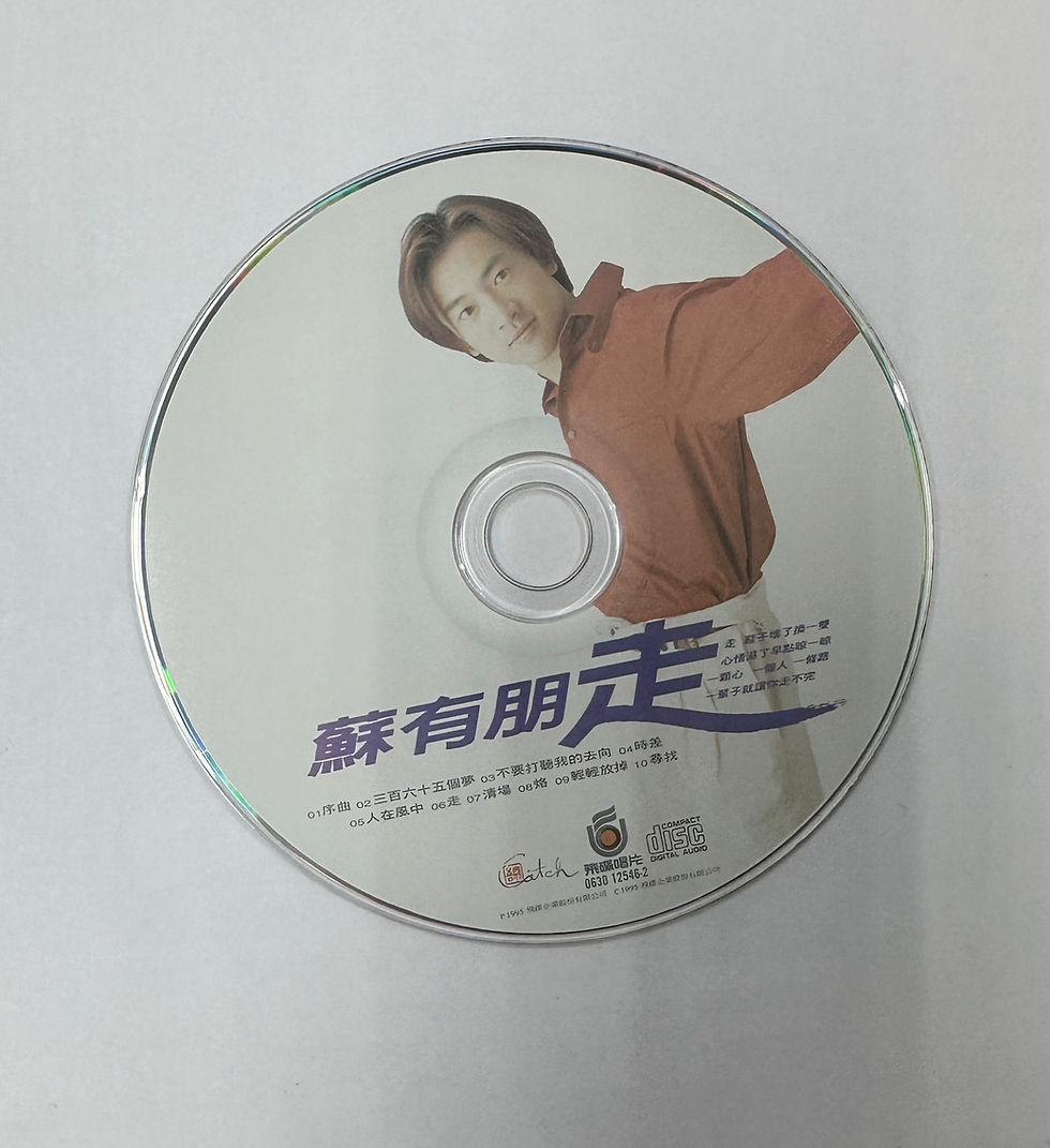 Thumbnail: 蘇有朋 - 走