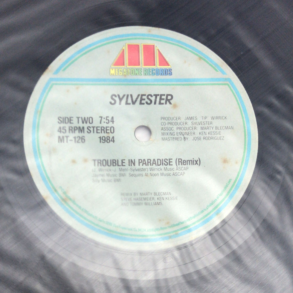 縮圖：Sylvester - Too Late / Trouble In Paradise (Remix)  (45 RPM)