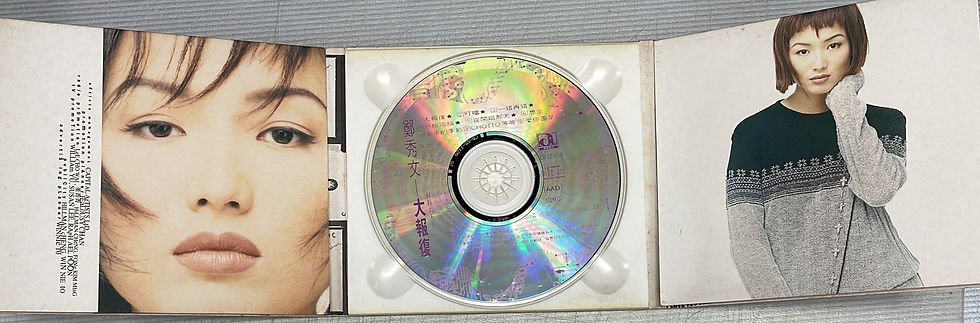 縮圖：鄭秀文 - 大報復