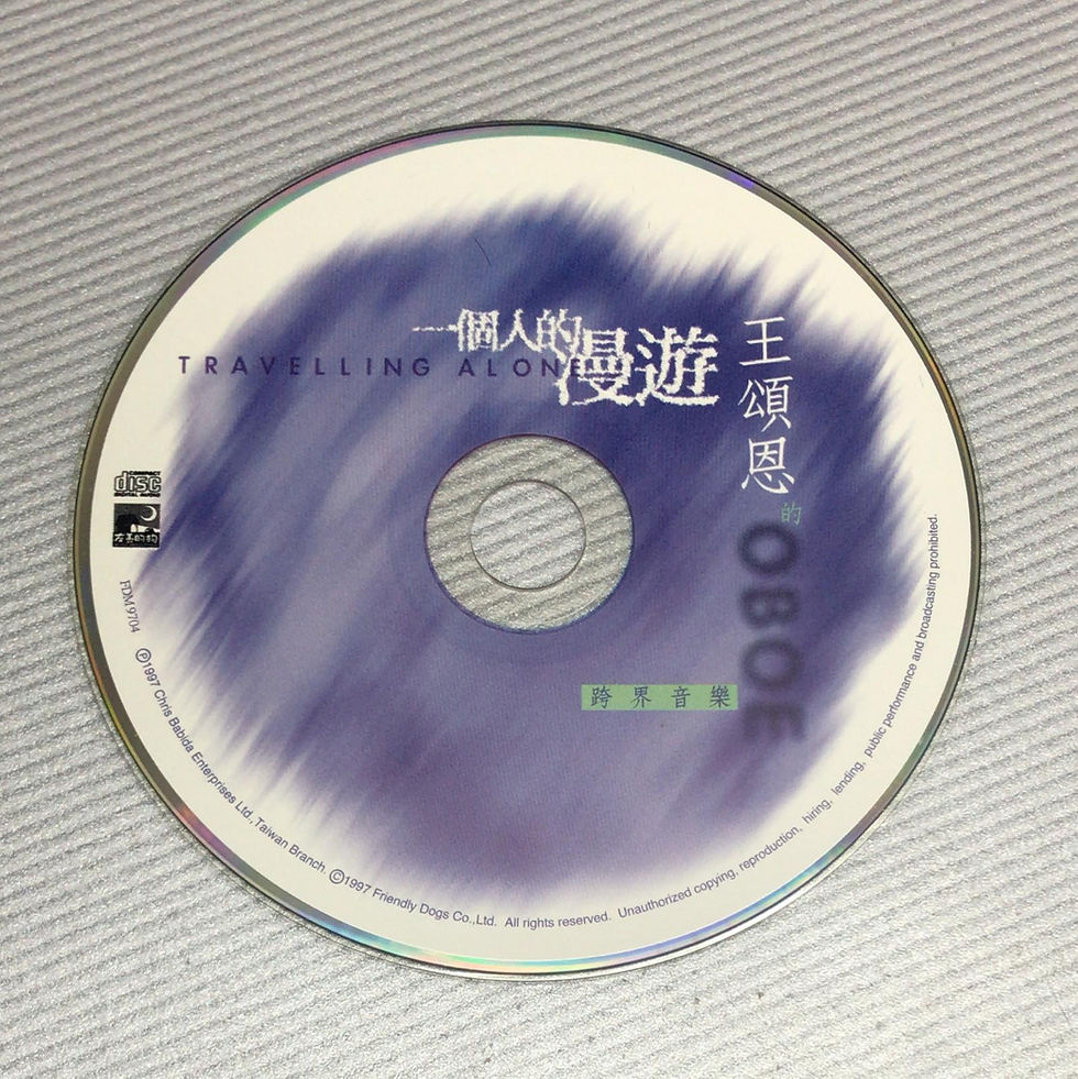縮圖：王頌恩 - 一個人的漫遊