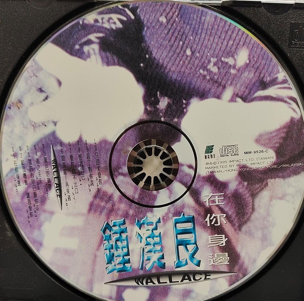 縮圖：鍾漢良 - 在你身邊