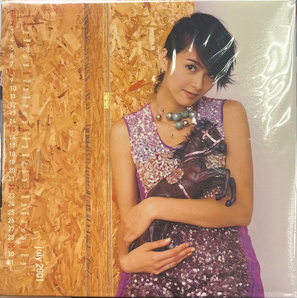 Thumbnail: 梁詠琪 - 花火(CD+VCD)