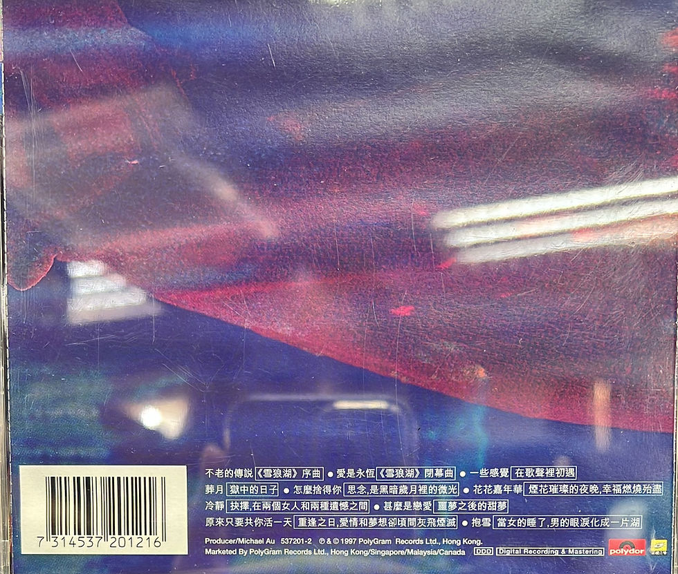 縮圖：張學友 - 不老的傳說