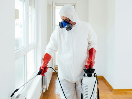 pest control in Winnipeg