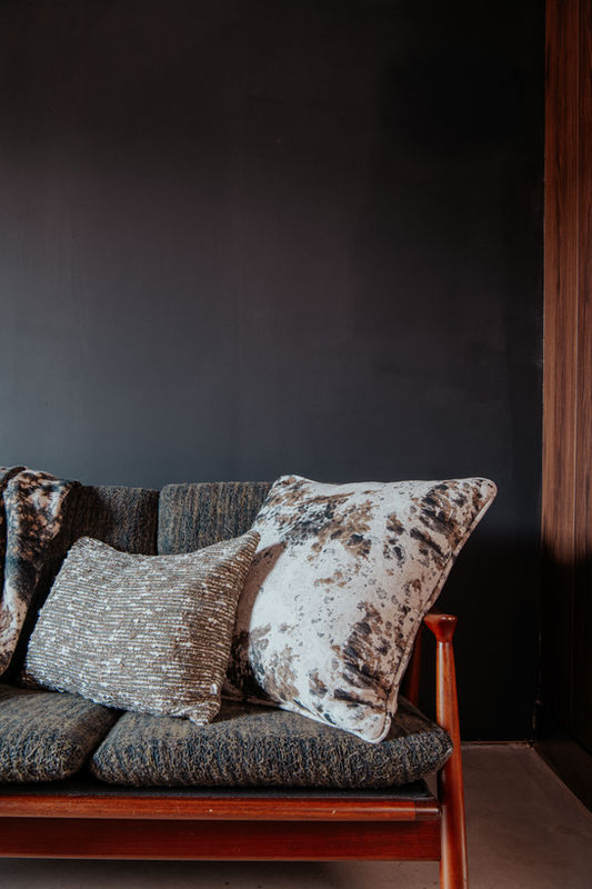 Coussins sur un canapé dans un intérieur sombre