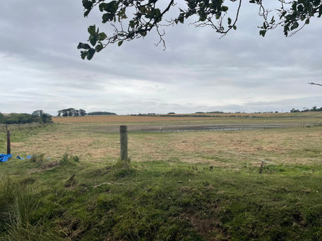 Theres hardly any water left in the scrape