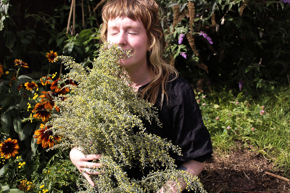 smelling the fragrant wormwood in the garden.jpg